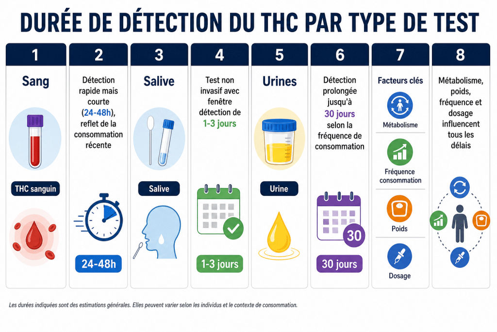 Durée de détection du thc par type de test