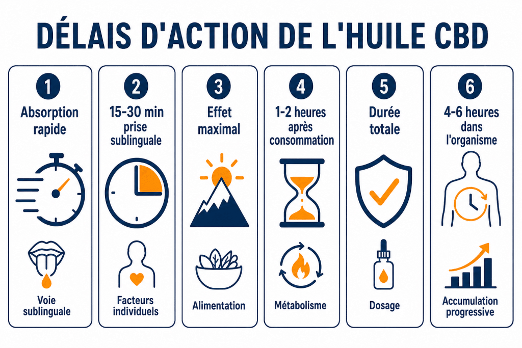 Délais d'action de l'huile cbd